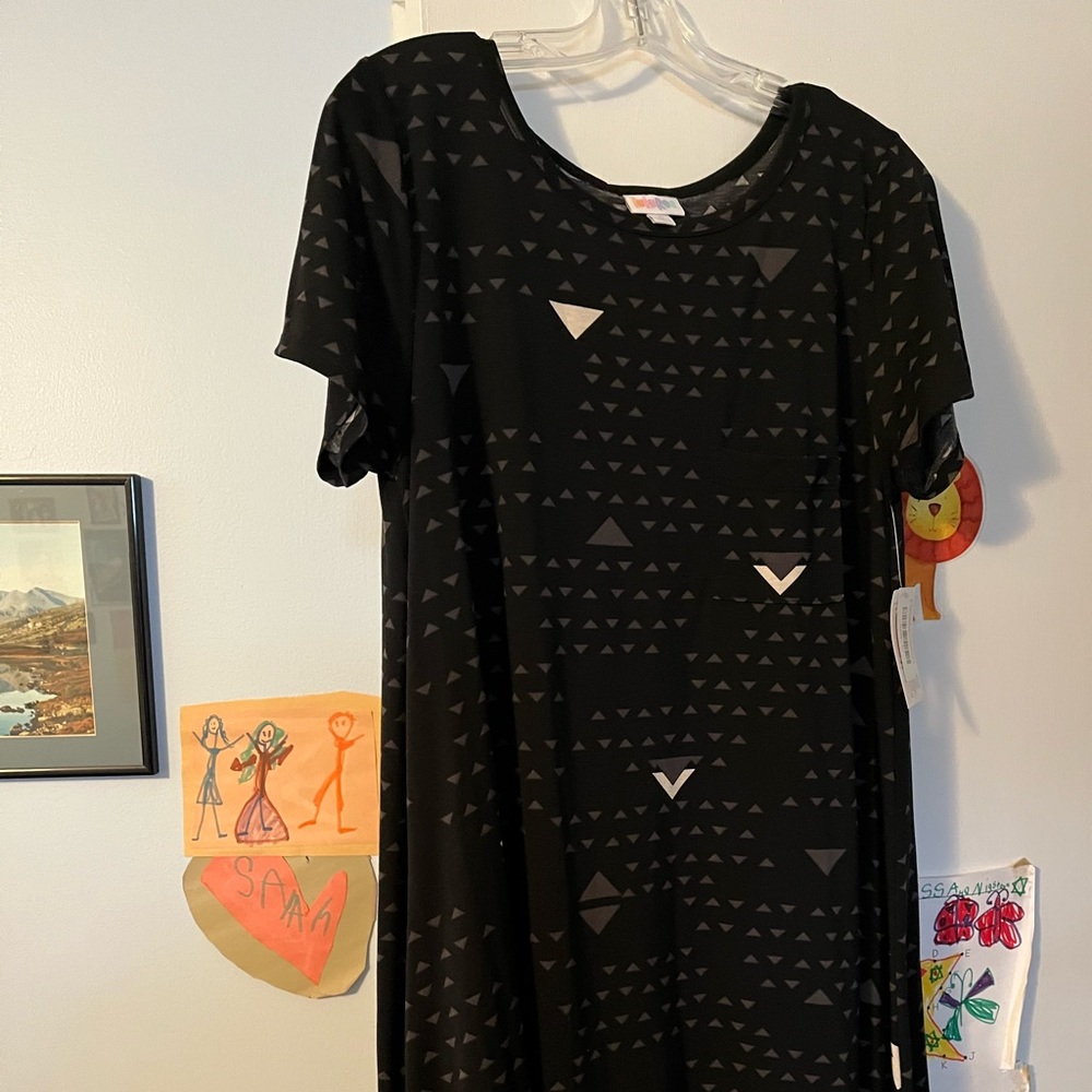 NWT Large LuLaRoe Carly Dress